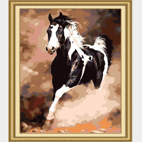 Painting By Numbers - Black & White Horse