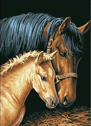 Painting By Numbers - Horse Couple