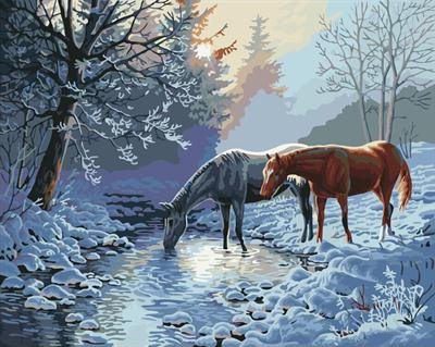 Painting By Numbers - Horse Landscape