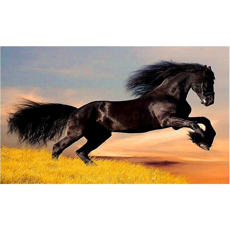 DIY Diamond Painting - Great Stallion - Zana Horse - 1
