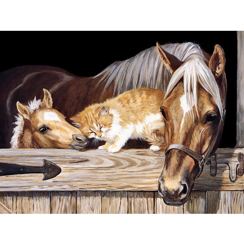 DIY Diamond Painting - Horse and Cat - Zana Horse - 1