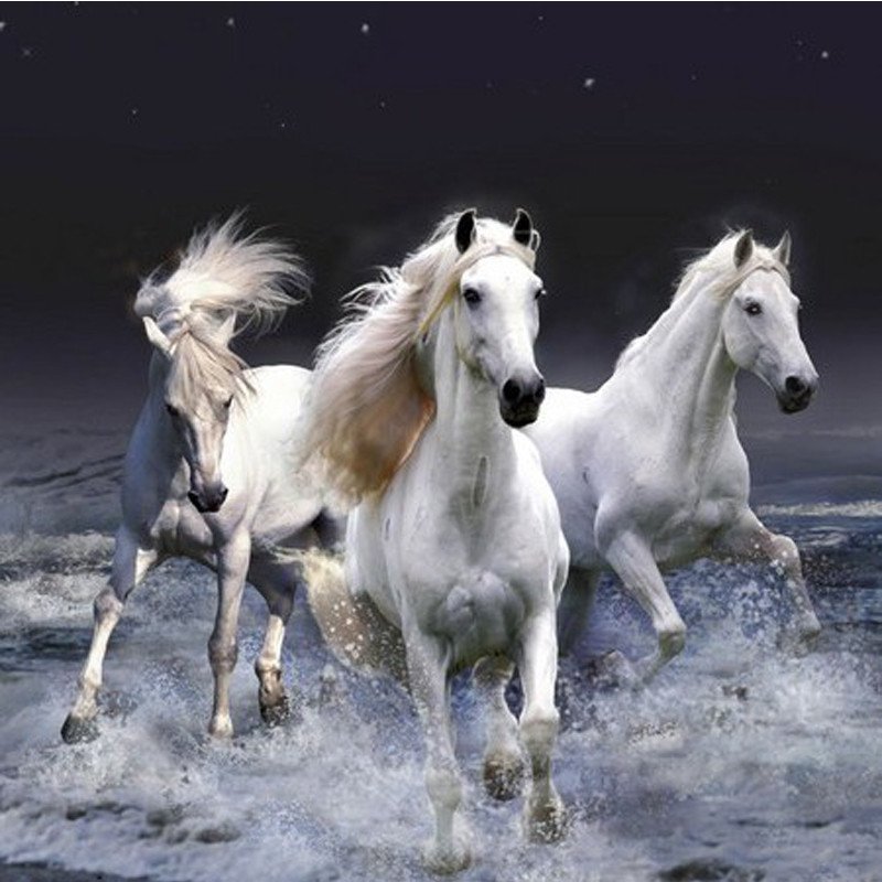 DIY Diamond Painting - Three White Horse - Zana Horse - 1