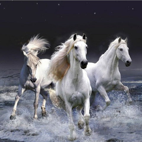 DIY Diamond Painting - Three White Horse