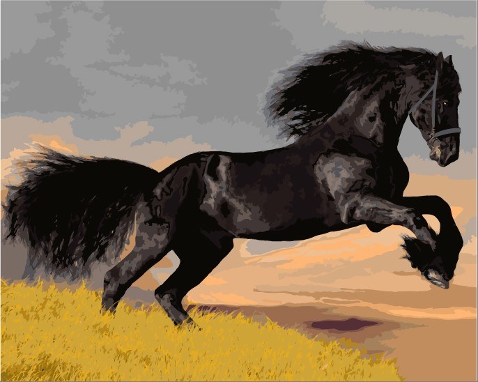 Painting By Numbers - Black Horse - Zana Horse - 1