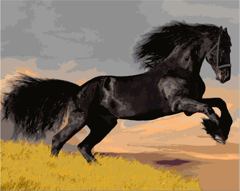 Painting By Numbers - Black Horse
