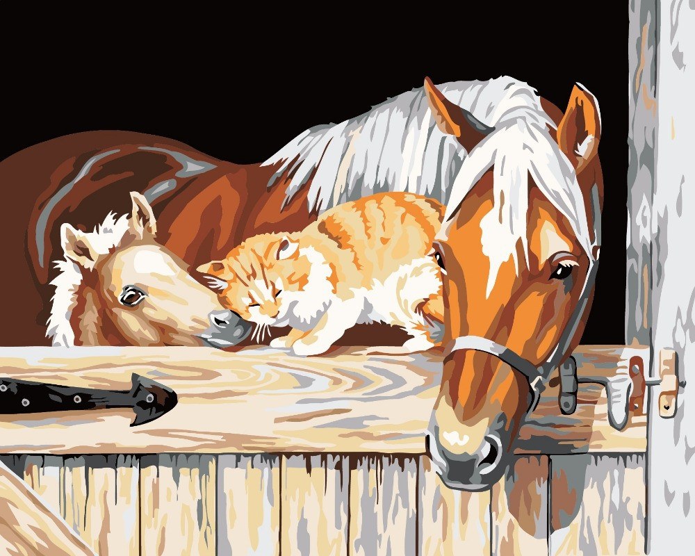 Painting By Numbers - Horses & Cat - Zana Horse - 1
