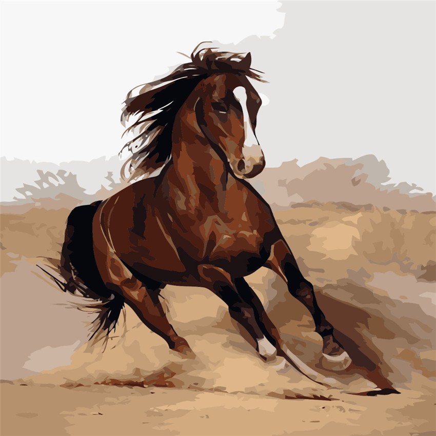 Painting By Numbers - Running Horse - Zana Horse - 1